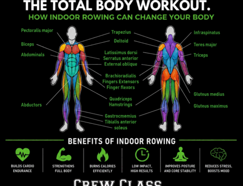 How Indoor Rowing Can Change Your Body